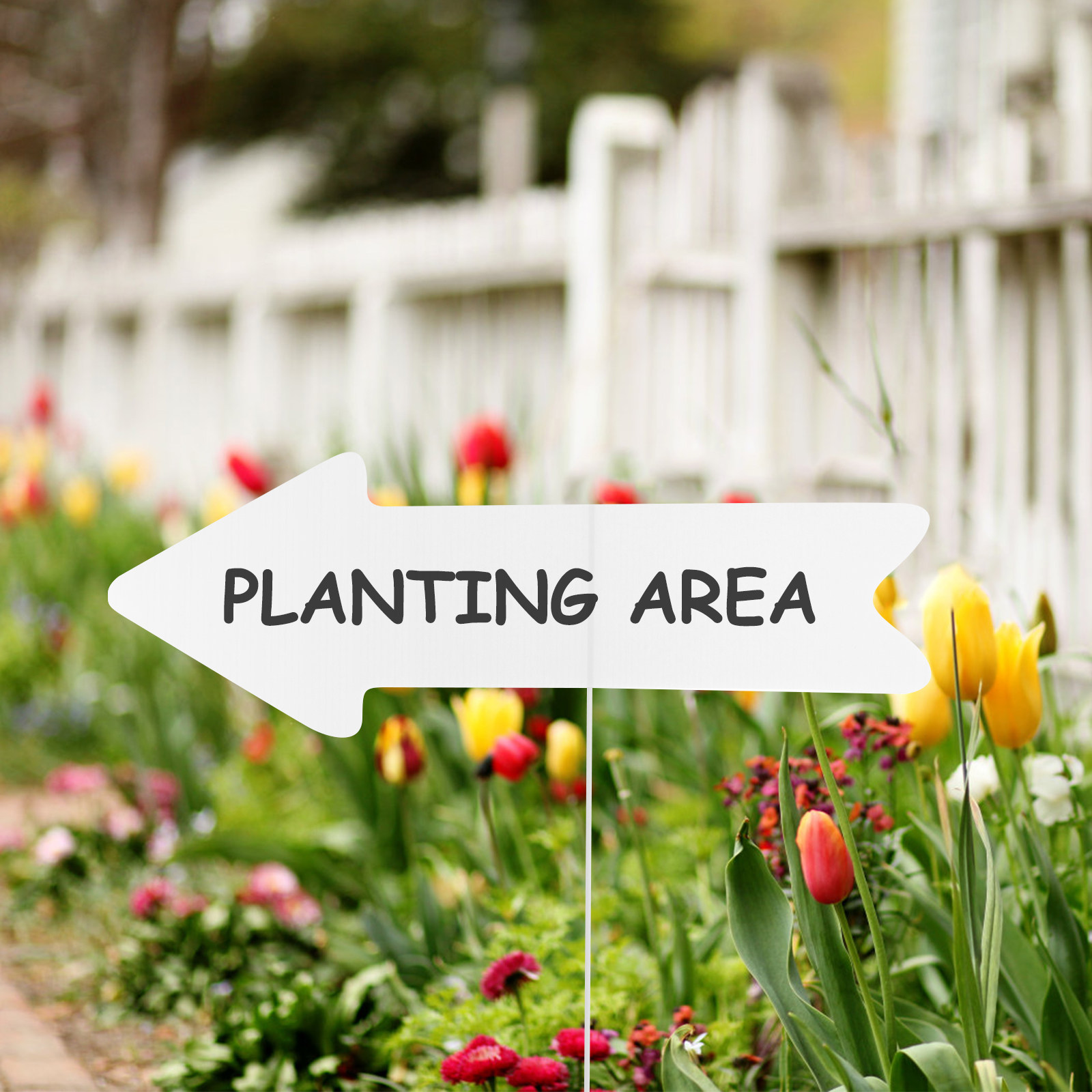 لوحات إعلانية فارغة للحدائق، ع - مراجعة Yard Sign Blank وسعره